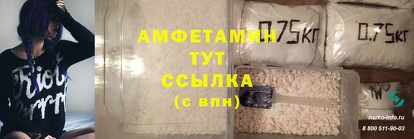 гашик Аркадак