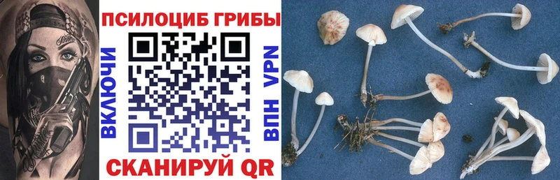 Псилоцибиновые грибы прущие грибы blacksprut вход Калачинск дарнет шоп